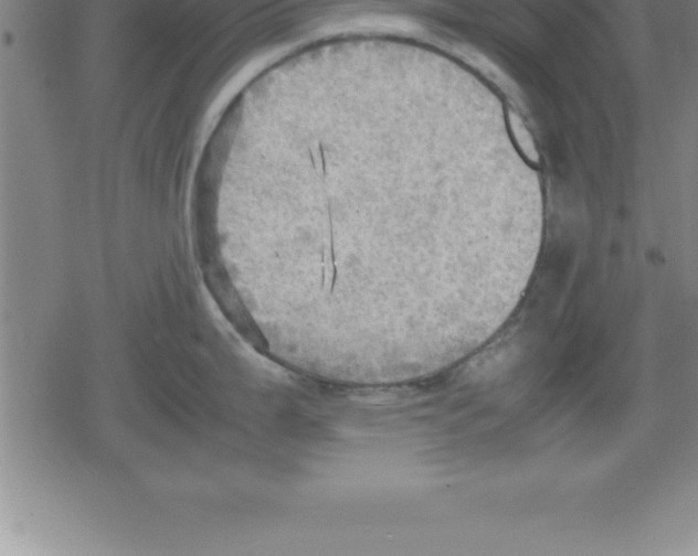 X0000079341199200612151900