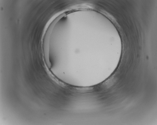 X0000079341200200612151900