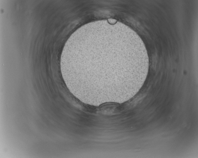 X0000079341201200612151859