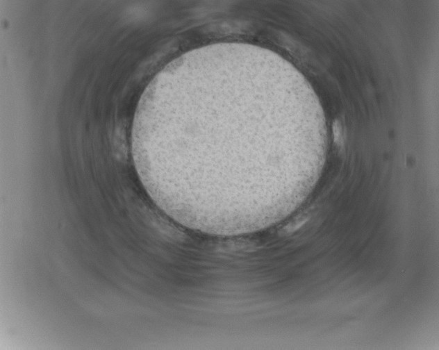 X0000079341203200612151859