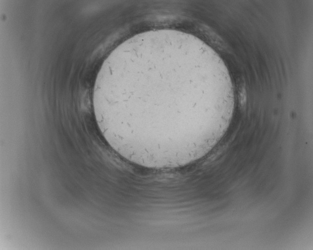 X0000079341204200612151859