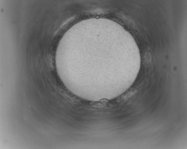 X0000079341205200612151859