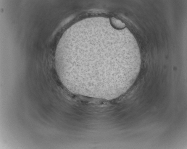 X0000079341207200612151859