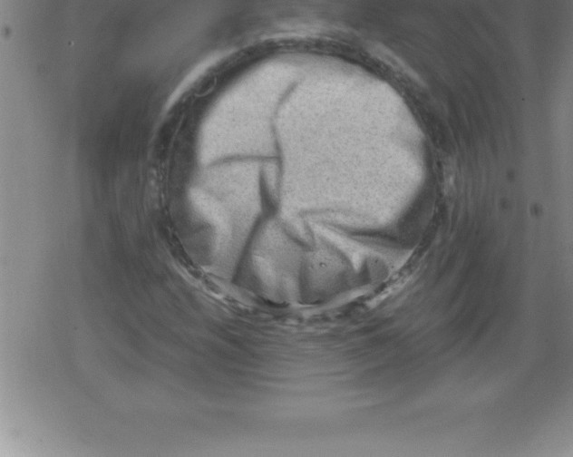 X0000079341208200612151859