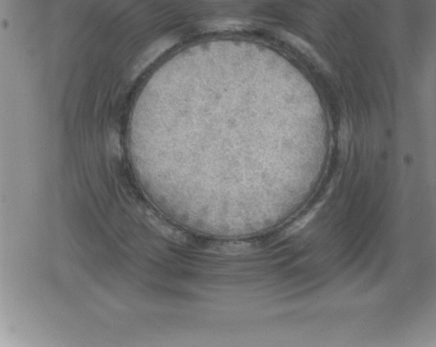 X0000079341209200612151859