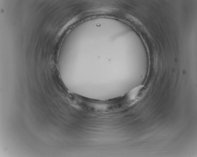 X0000079341210200612151859