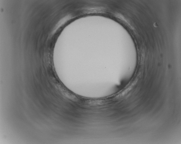 X0000079341211200612151859