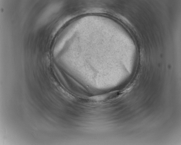 X0000079341212200612151859