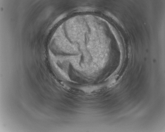 X0000079341213200612151859