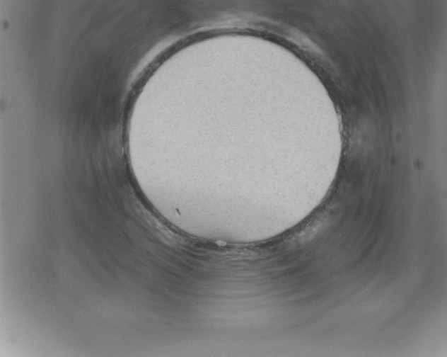 X0000079341216200612151859