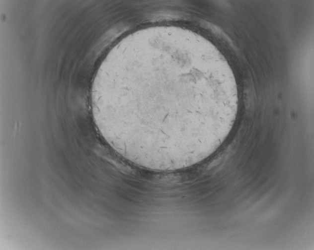 X0000079341217200612151859