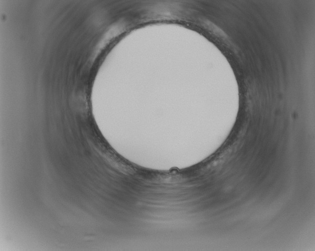 X0000079341218200612151859