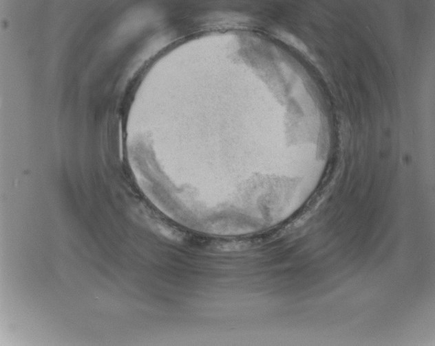 X0000079341219200612151859