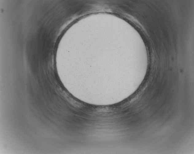 X0000079341220200612151859