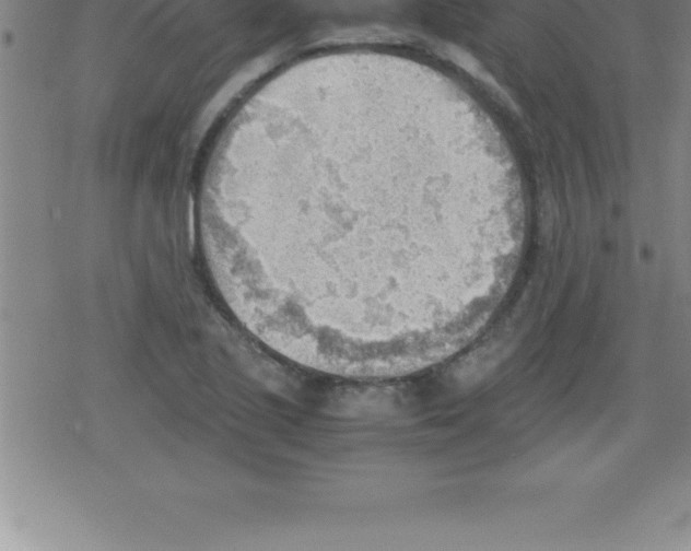 X0000079341221200612151859