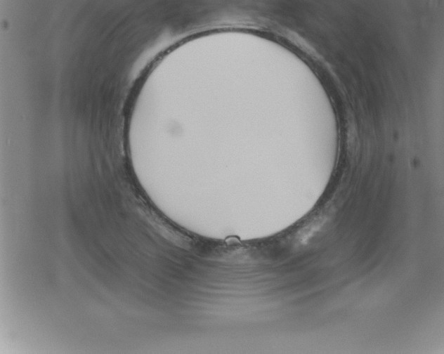 X0000079341222200612151859