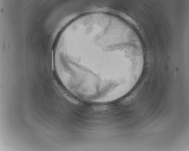 X0000079341223200612151859