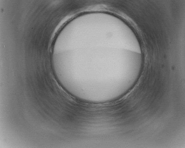 X0000079341224200612151859