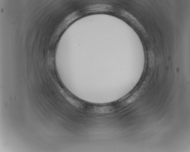 X0000079341225200612151859