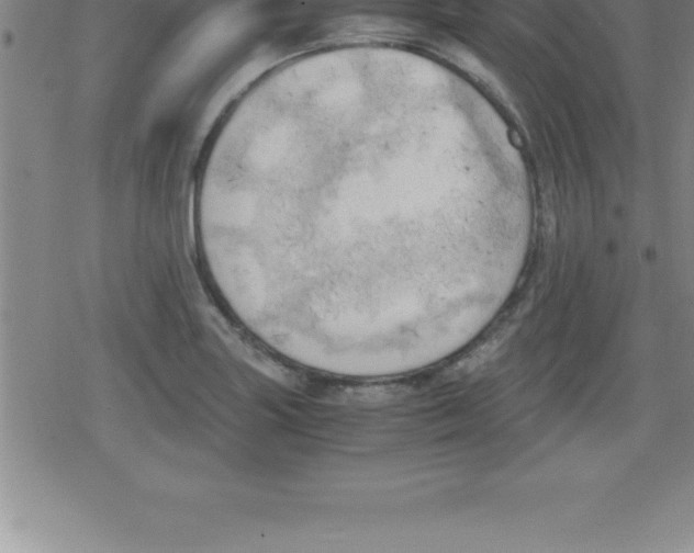 X0000079341227200612151859