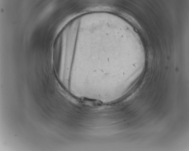 X0000079341228200612151859