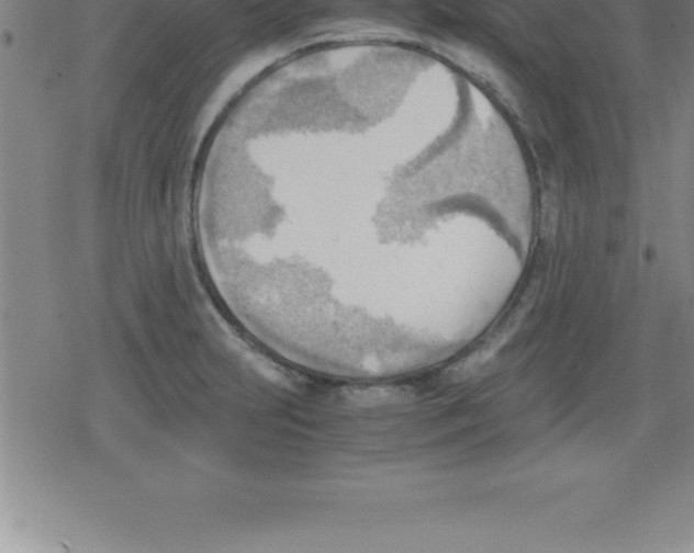 X0000079341231200612151859