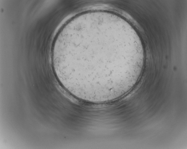 X0000079341232200612151859