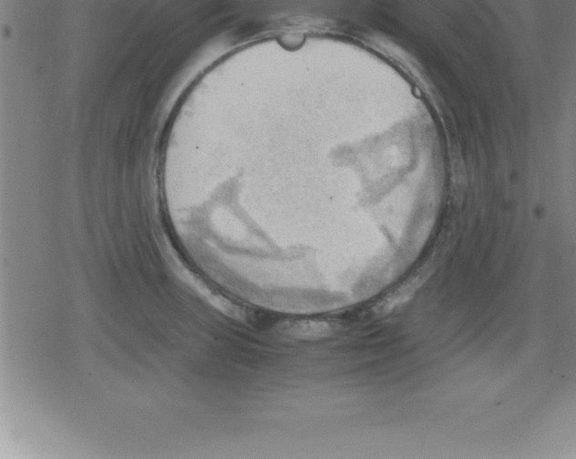 X0000079341235200612151900