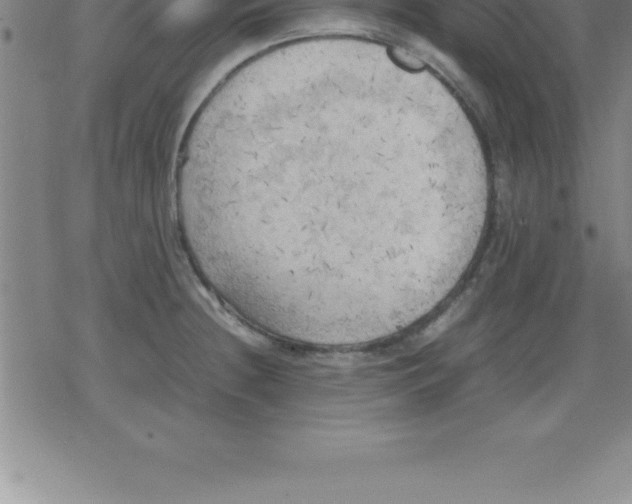 X0000079341236200612151900