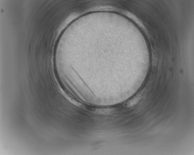 X0000079341237200612151900