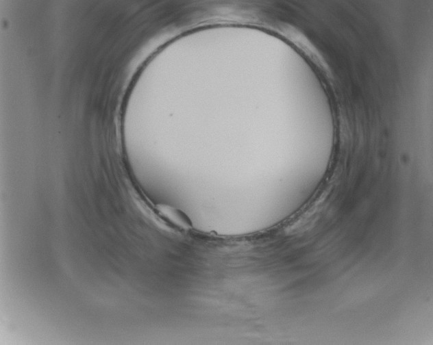 X0000079341238200612151900