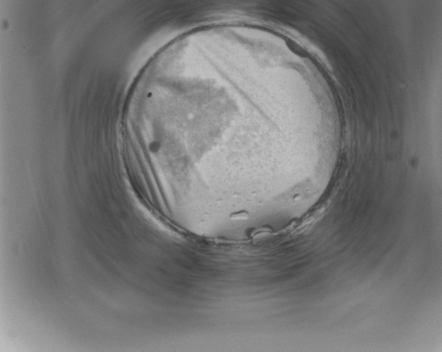 X0000079341239200612151900