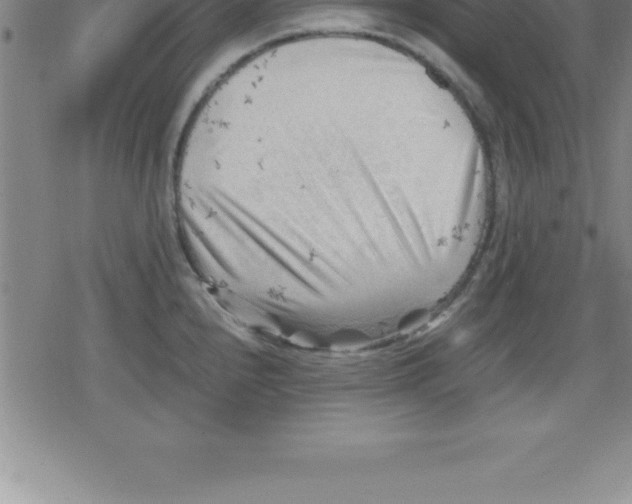 X0000079341240200612151900