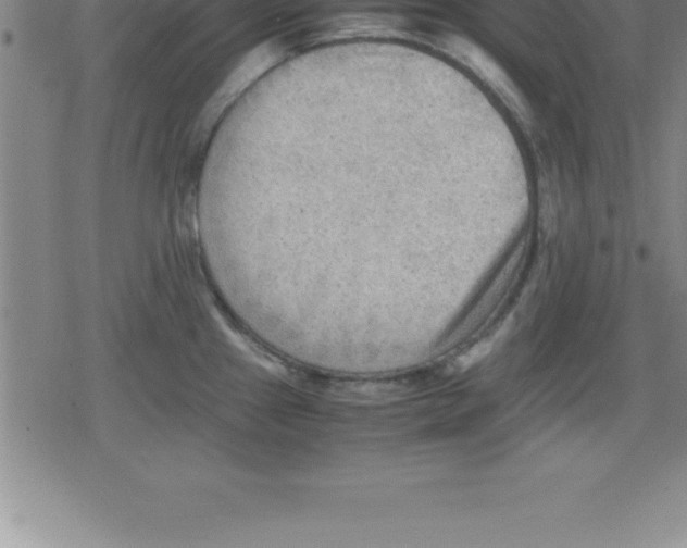 X0000079341241200612151900