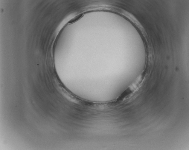 X0000079341242200612151900