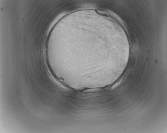 X0000079341243200612151900