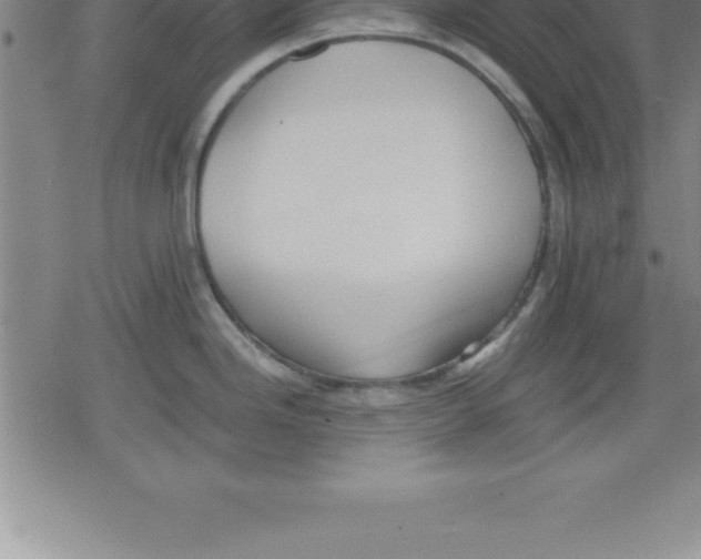 X0000079341246200612151900