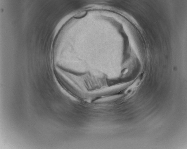 X0000079341247200612151900