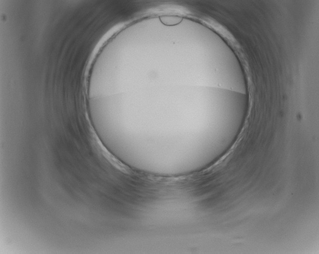 X0000079341248200612151900