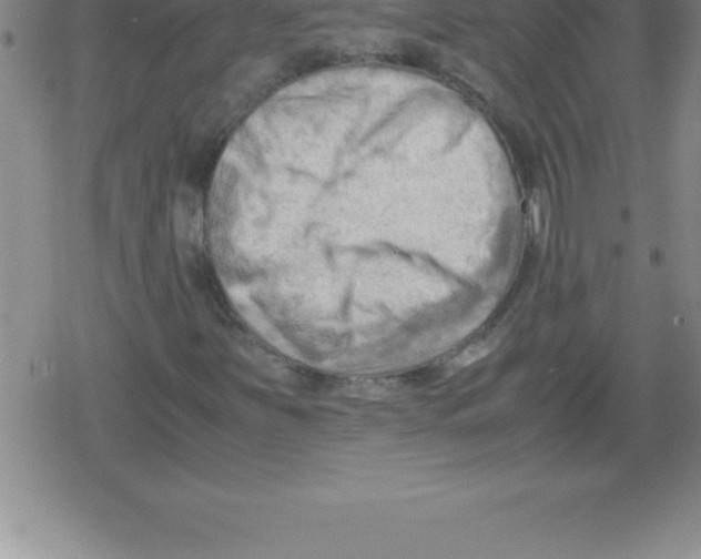 X0000079341251200612151859