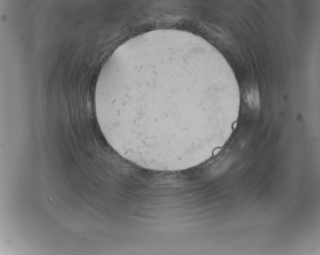 X0000079341252200612151859