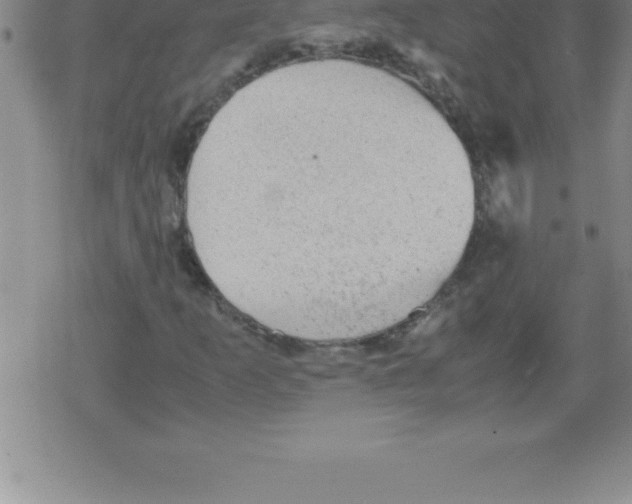 X0000079341253200612151859