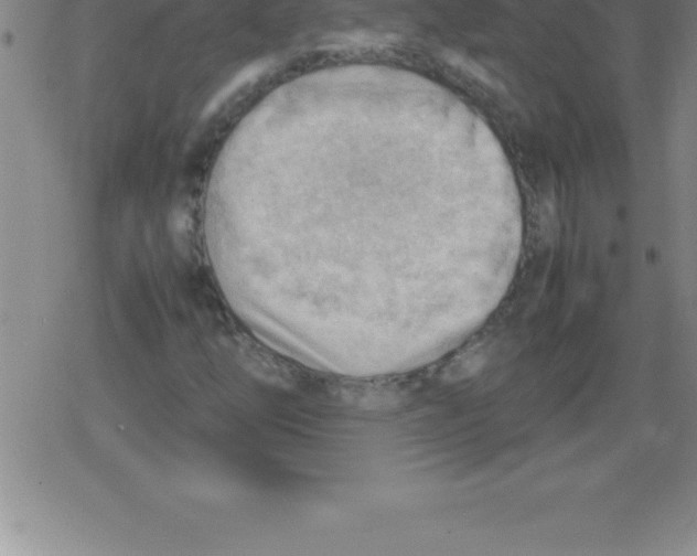 X0000079341254200612151859