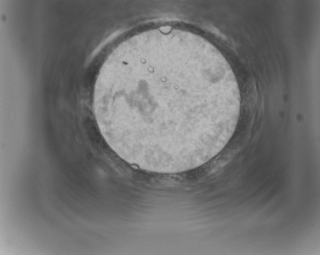 X0000079341255200612151859