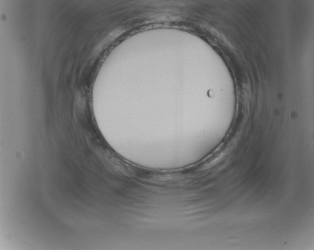 X0000079341257200612151859