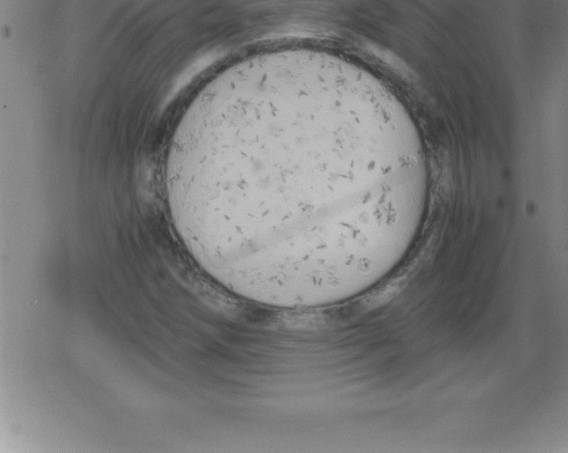 X0000079341258200612151859