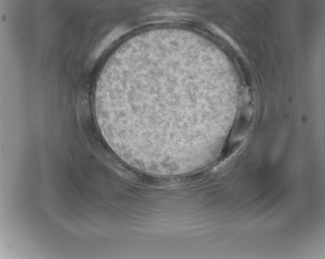 X0000079341259200612151859