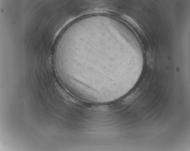 X0000079341260200612151859