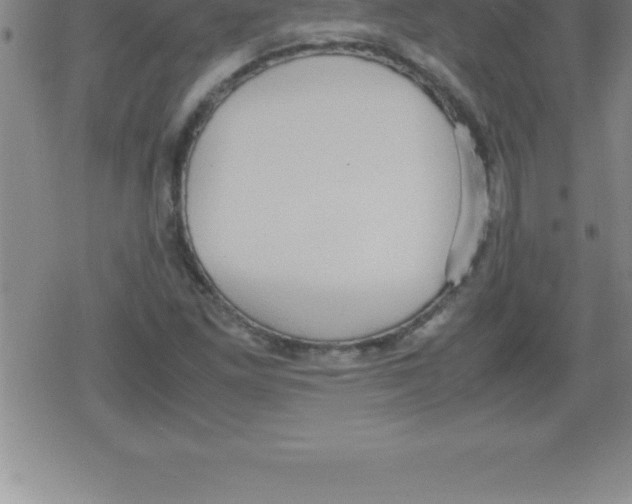 X0000079341261200612151859