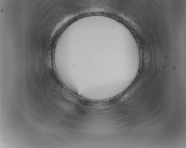 X0000079341262200612151859